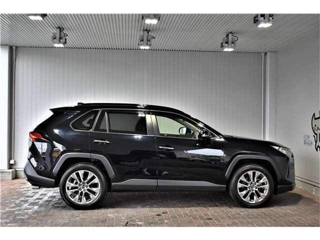 RAV4