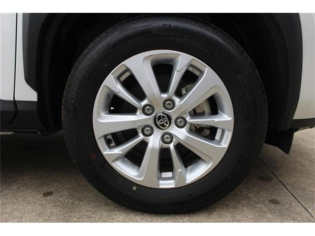 �̔��͂����X���������邨�q�l����ł��B���Ǝҗl�ւ̔̔��͂��f�肳���Ă��������܂��B�Ԍ������ԗ��̏ꍇ�́A�Ԍ����擾�������x�������z�ŕ\�����Ă���܂��B