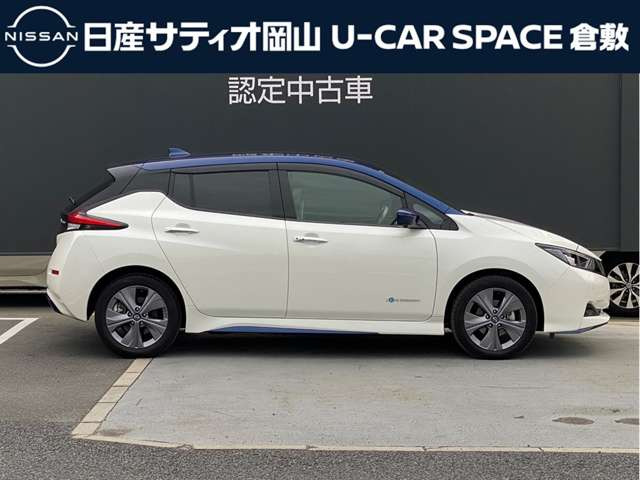 リーフ
