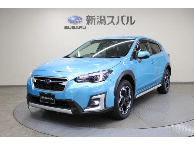 XV
