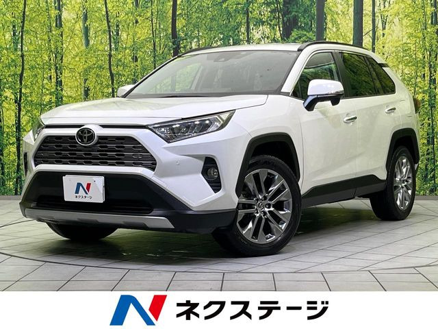 RAV42.0 G Zパッケージ 4WD
