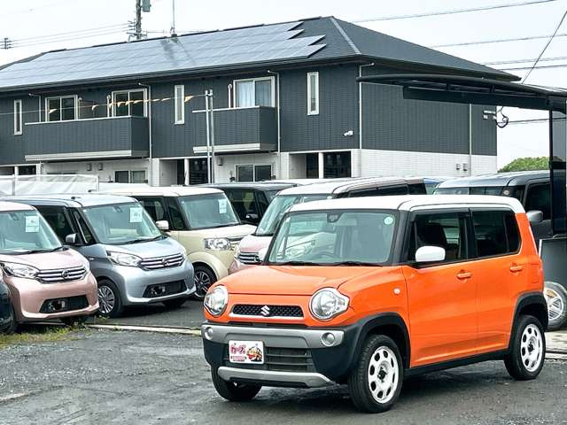 �y39.8���X�J�[�Y�̎��q���������������A���ɂ��肪�Ƃ��������܂��B���������S�s���c1186-7TEL:0942-73-6060�܂ł��⍇����������