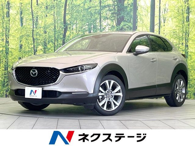 CX-30�i�}�c�_�j2.0 20S �v���A�N�e�B�u �c�[�����O�Z���N�V���� ���Îԉ摜