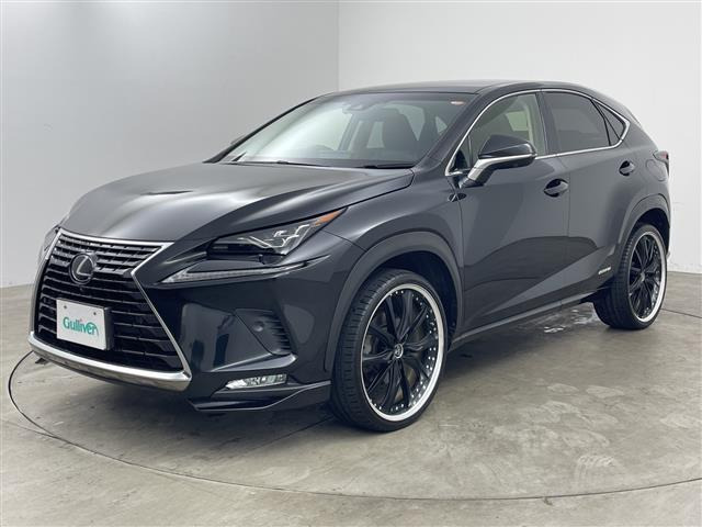 NX300h Iパッケージ