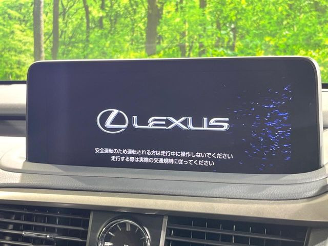 RX300 バージョンL