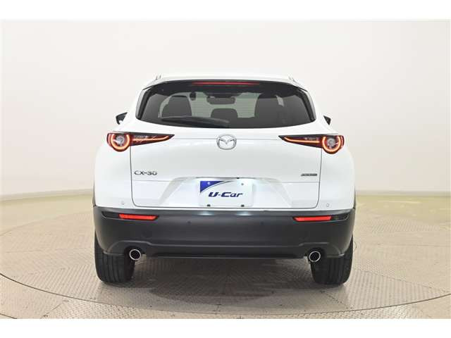 CX-301.8 XD プロアクティブ