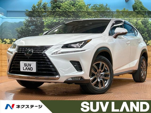 NX�i���N�T�X�j300 �o�[�W����L ���Îԉ摜