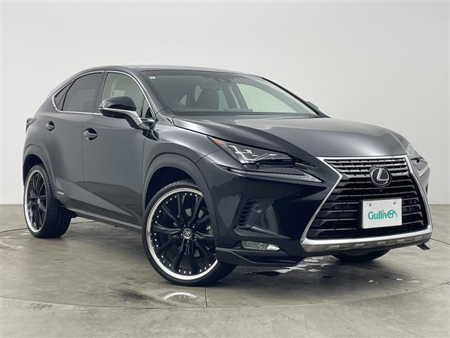 NX300h Iパッケージ