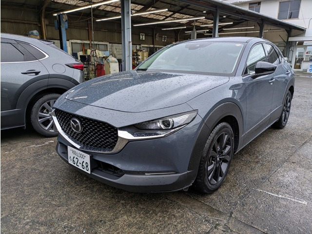 CX-30