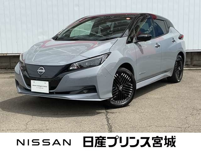 リーフe+ X