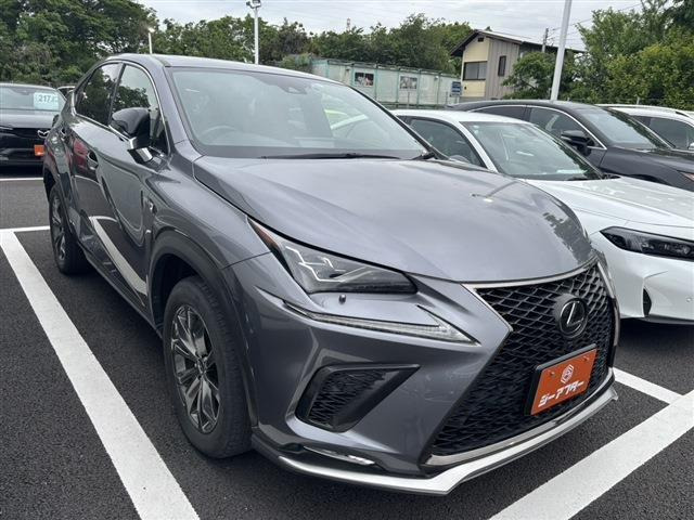 NX300 Fスポーツ