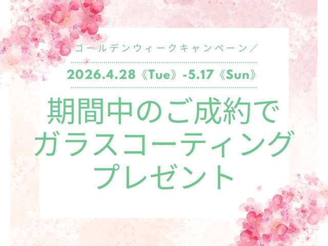 ゴルフTDI アクティブ アドバンス プラチナムエディション ディーゼル
