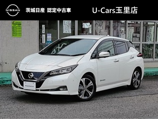 リーフG