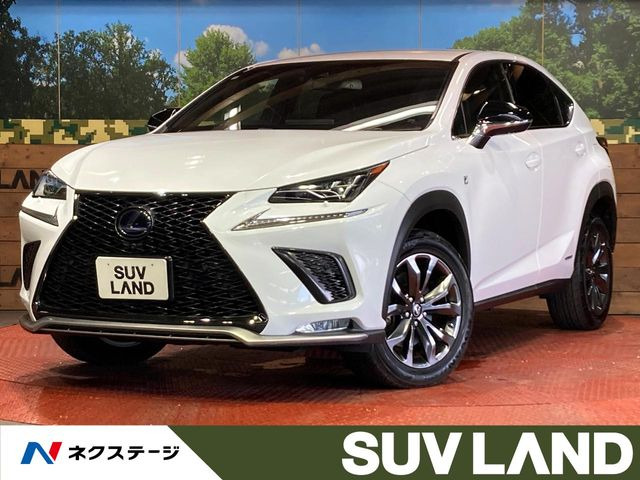 NX�i���N�T�X�j300h F�X�|�[�c ���Îԉ摜