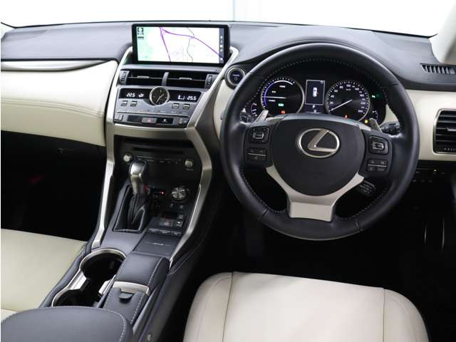 NX300h Iパッケージ