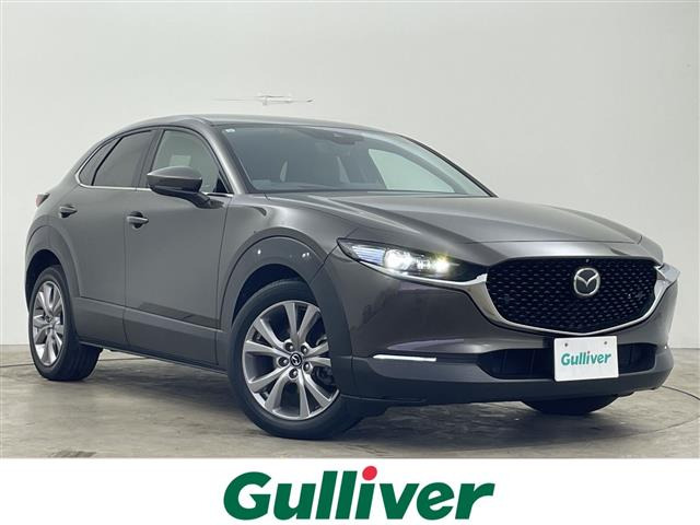 CX-301.8 XD Lパッケージ