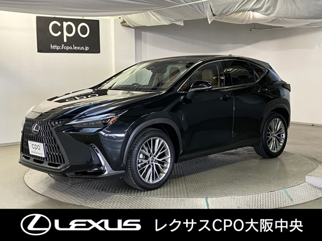 NX250 バージョンL