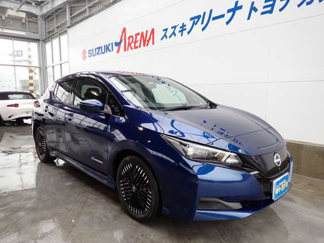 リーフX Vセレクション