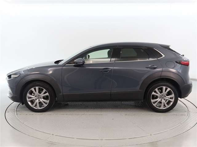 CX-301.8 XD Lパッケージ