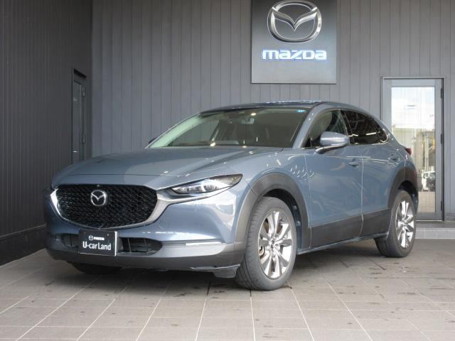 CX-301.8 XD Lパッケージ