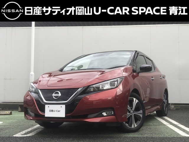 リーフG