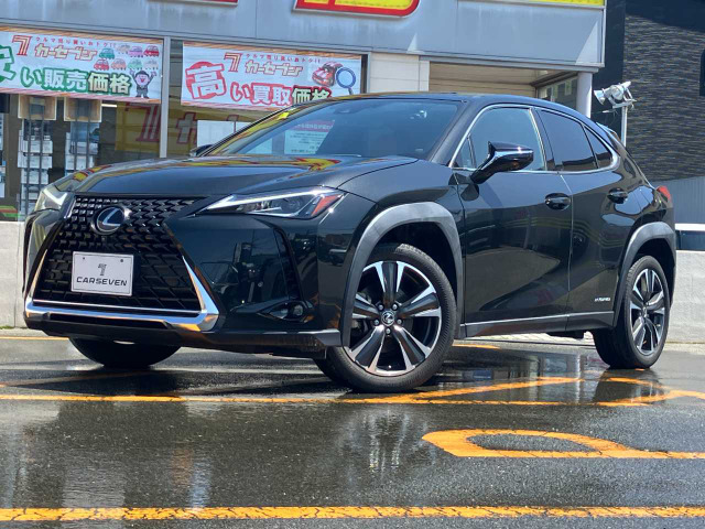 UX250h バージョンC