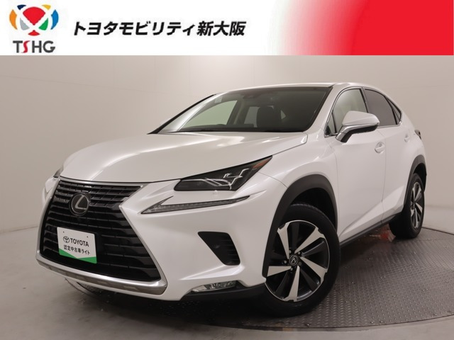 NX300 Iパッケージ