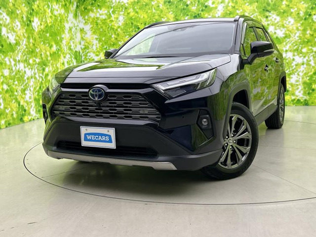RAV42.5 ハイブリッド G E-Four 4WD