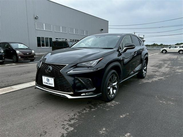NX300 Fスポーツ