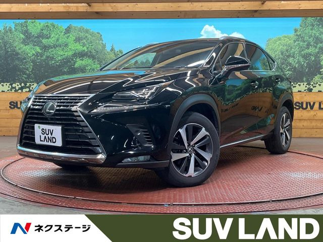 NX200t Iパッケージ