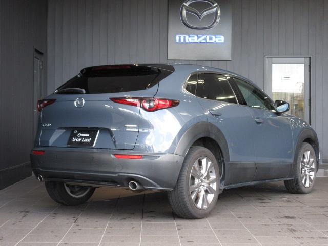 CX-301.8 XD Lパッケージ