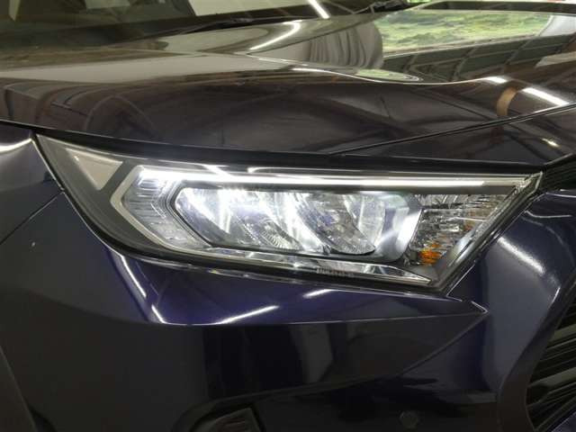 RAV42.0 X