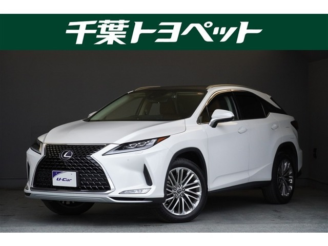 RX300