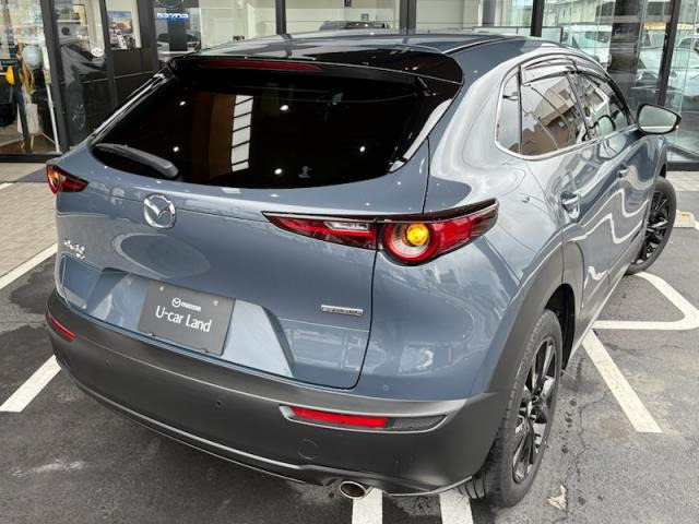 CX-30