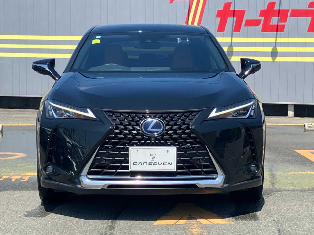 UX250h バージョンC