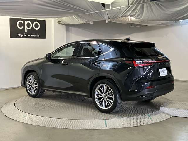 NX250 バージョンL
