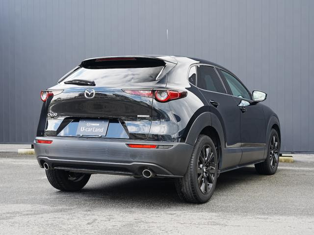 CX-30