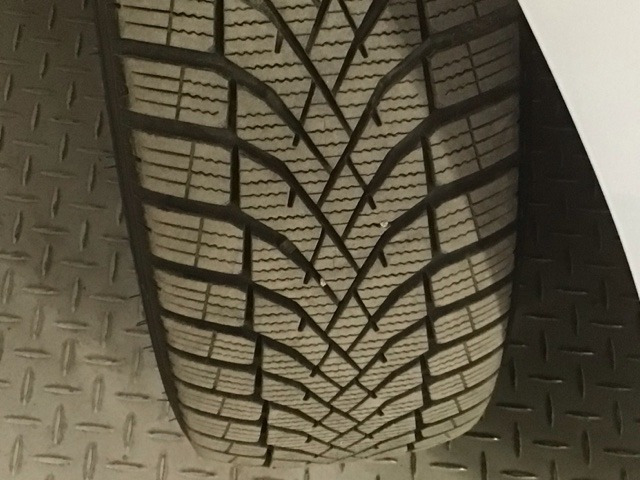 フィット