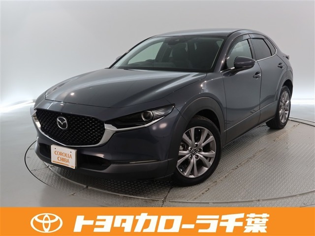 CX-301.8 XD Lパッケージ