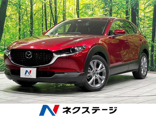 CX-301.8 XD Lパッケージ