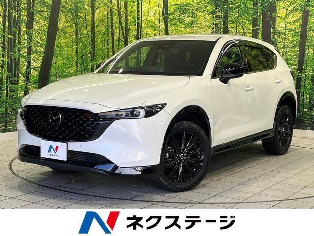CX-5�i�}�c�_�j2.2 XD �X�|�[�c�A�s�A�����X ���Îԉ摜
