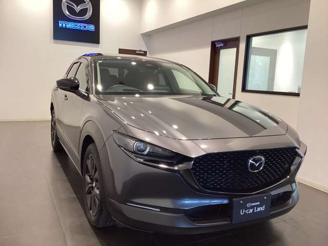 CX-301.8 XD レトロスポーツエディション 4WD
