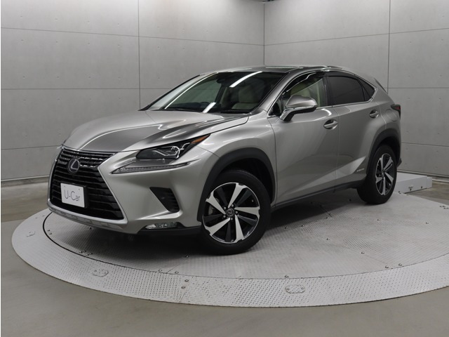 NX300h Iパッケージ