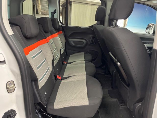 ���㕔���Ȃ��C�ɂȂ�悤�ȃL�Y�E�����ւ��蓙�A�傫�ȃ_���[�W�͂Ȃ��A�ǍD�ȏ�Ԃł��B