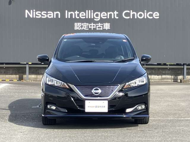 リーフe+ G