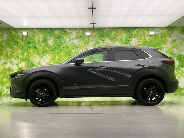CX-301.8 XD ブラックトーンエディション