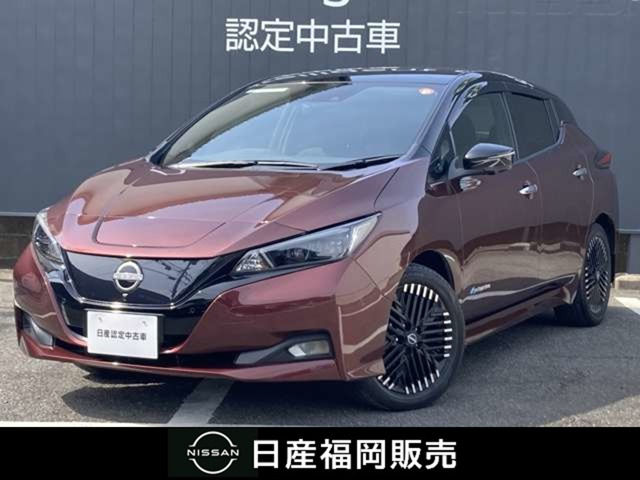 リーフG