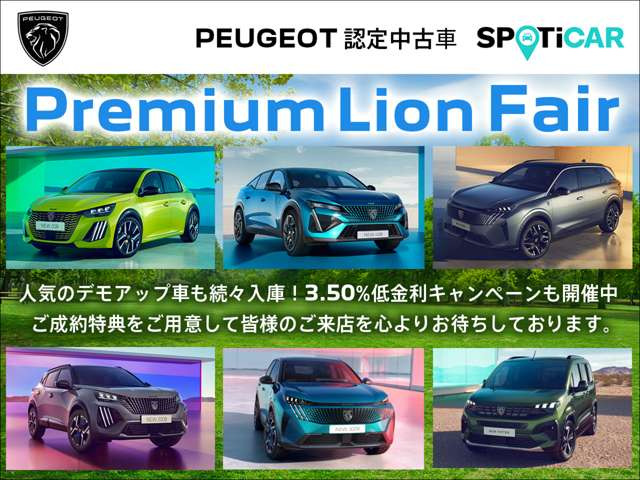 208GT セレニウム エディション