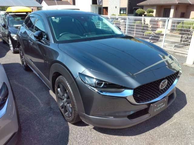 CX-30