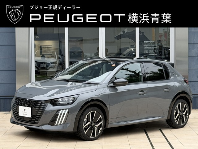 208GT セレニウム エディション